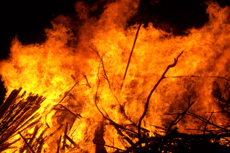 Wildfire